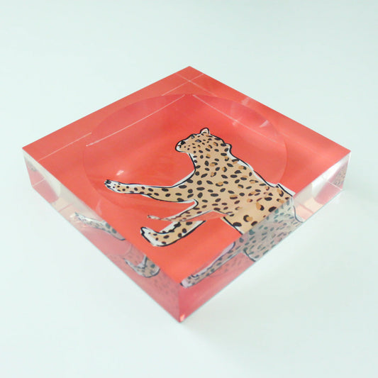 Coral Leopard Catchall Tray